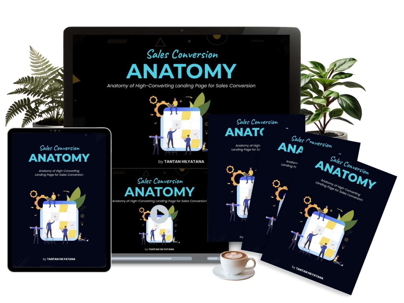 Sales Conversion Anatomy